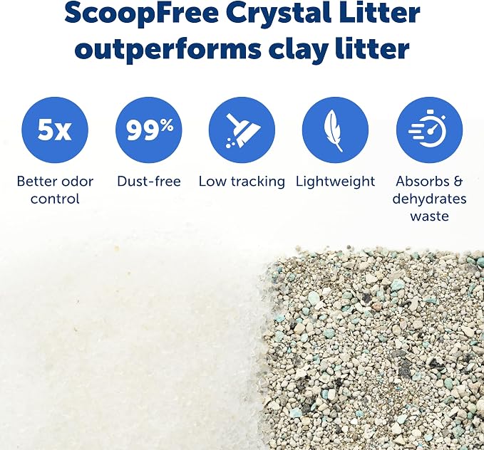 PetSafe ScoopFree Self-Cleaning Cat Litter Box Tray Refills with Sensitive Non-Clumping Crystals, 6-Pack | No-Scoop Crystal Cat Litter, 5x Faster Odor Control, 99% Dust-Free, Easy Cleanup, Leak-Proof Disposable Tray Refill with Lid