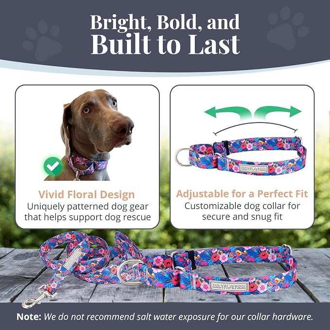 Lucky Love Dog Martingale Collar and Leash Set for Small Dogs – Zuzu, Small