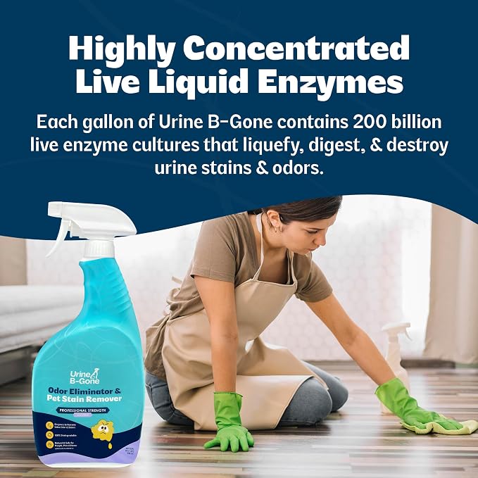Urine B-Gone Enzyme Cleaner for Human, Cat & Dog Urine, Lavender, 32 oz | Enzyme cleaner for human, cat and dog urine on laundry, carpets and more; lavender scent, 32 oz.