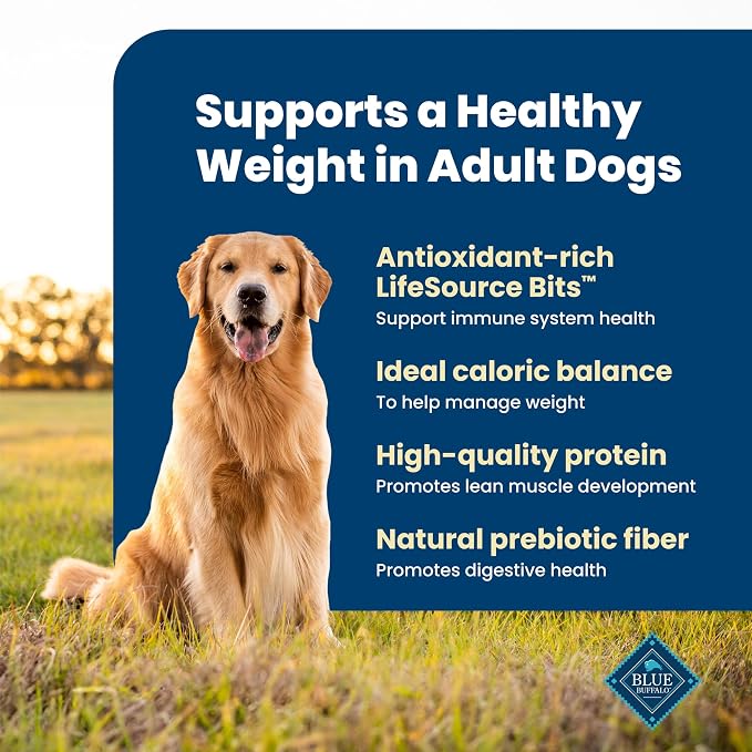 Blue Buffalo Life Protection Formula Healthy Weight Chicken Dog Food, 15 lb | Real Chicken #1 Ingredient, Promotes Lean Muscles & Weight Control, Supports Immunity with Antioxidant-Rich LifeSource Bits