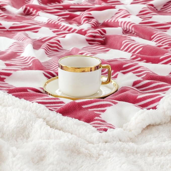 Sherpa Plaid Twin Blanket 60" X 70", Fuzzy Fluffy Soft Cozy Throw Blanket, Twin Size Plush Fleece Flannel Plush Microfiber Blanket for Couch Bed Sofa (RustRed)