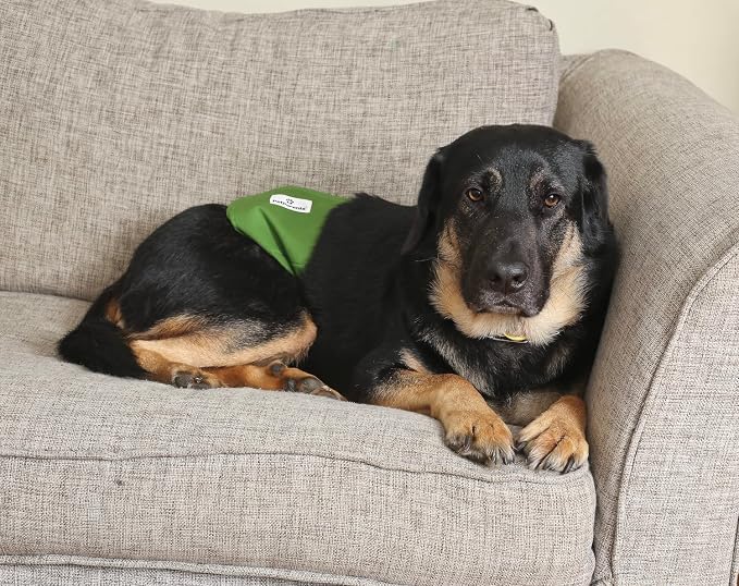 Pet Parents® Washable Belly Bands for Male Dogs (3pack) + Extendrs® of Durable Dog Diapers Male, Premium Male Dog Diapers & Dog Wraps (Large, Gentlemen)