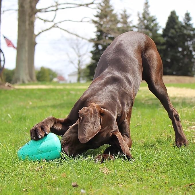 Chew King by Mammoth Premium Treat Dispensing Dog Toy, Durable Natural Rubber Chew Toy, Safety Air Vent, Interactive Enrichment Toy for Aggressive Chewers, XL - For Dogs 40-75lbs - Pack of 2 - Teal