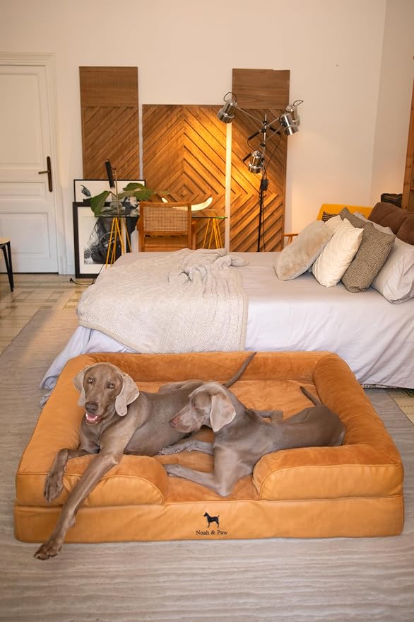 NOAH & PAW Giant Dog Bed XXL, 55x45x11 Inch, Orthopedic Dog Beds, Eggshell Memory Foam Infused with Cooling Gel, Inner Cover, Water Resistant, Machine Washable (Faux Leather)