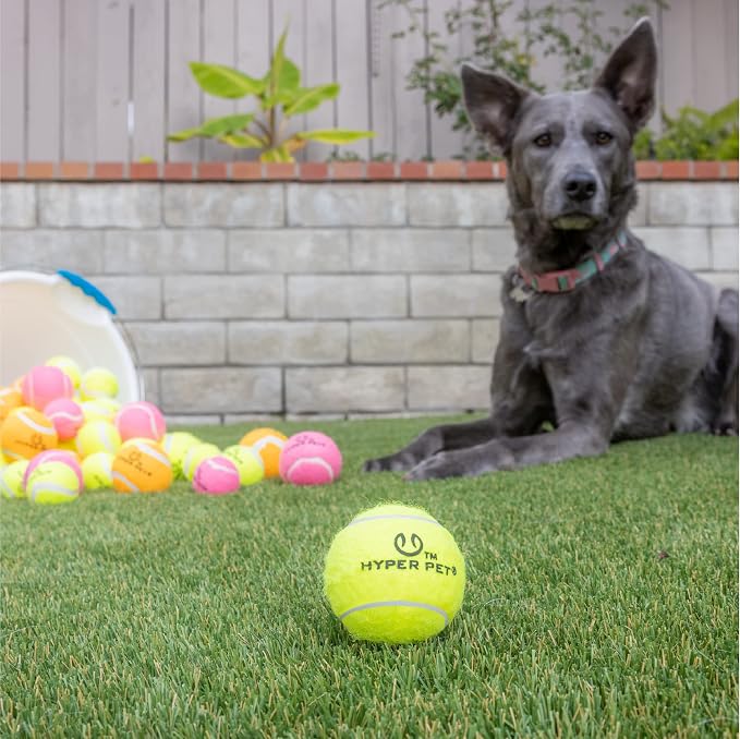 Hyper Pet Tennis Balls for Dogs, Pet Safe Dog Toys for Exercise and Training, Pack of 4, Green
