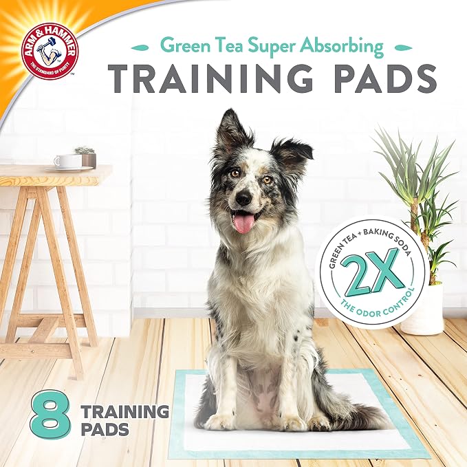 Arm & Hammer Green Tea Pet Training Pads, 8 Count | Super absorbent, baking soda infused, 2x odor control, 5-layer leak-proof design, 22.5 x 22.5 in, daily