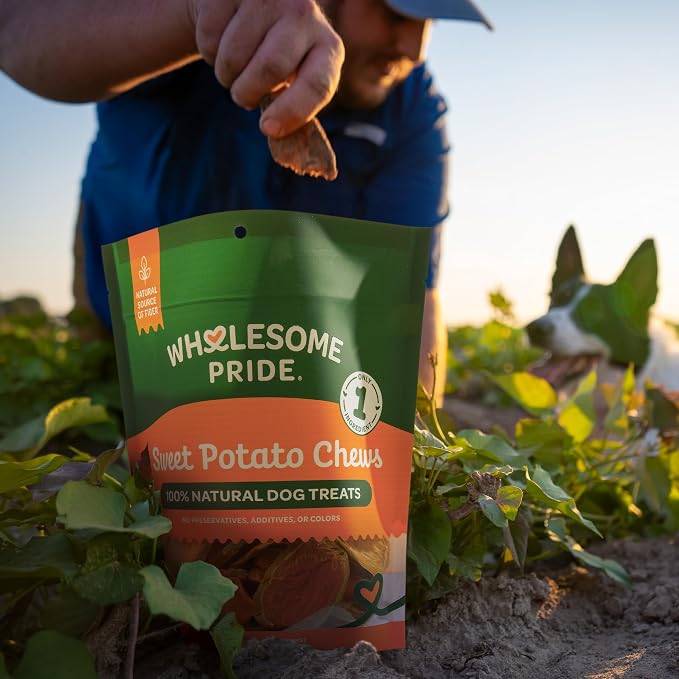 Wholesome Pride Sweet Potato Chews Healthy Dog Treats, 1 Ingredient, 16 oz | No Preservatives, 100% Sweet Potato, Gently Dehydrated, Supports Digestion, No Grain or Gluten, Training & Snacking