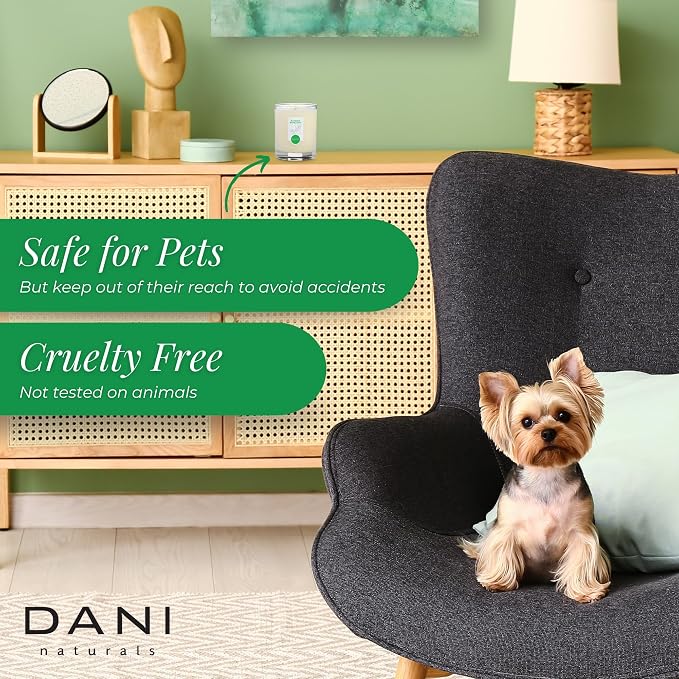 DANI Naturals Bamboo Bergamot 100% Soy Wax Candle, Non-Toxic, 7.5oz | Vegan,soy wax candle,Clean-burning with organic cotton wick,Fresh bamboo bergamot scent,Made in USA
