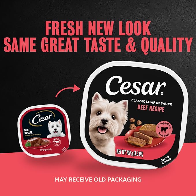Cesar Classic Loaf in Sauce Wet Dog Food, Beef Recipe, 3.5 oz, 24 Count | Real beef #1 ingredient, Made in USA, Easy peel trays, no fillers/added sugar/artificial flavors, use as meal or topper
