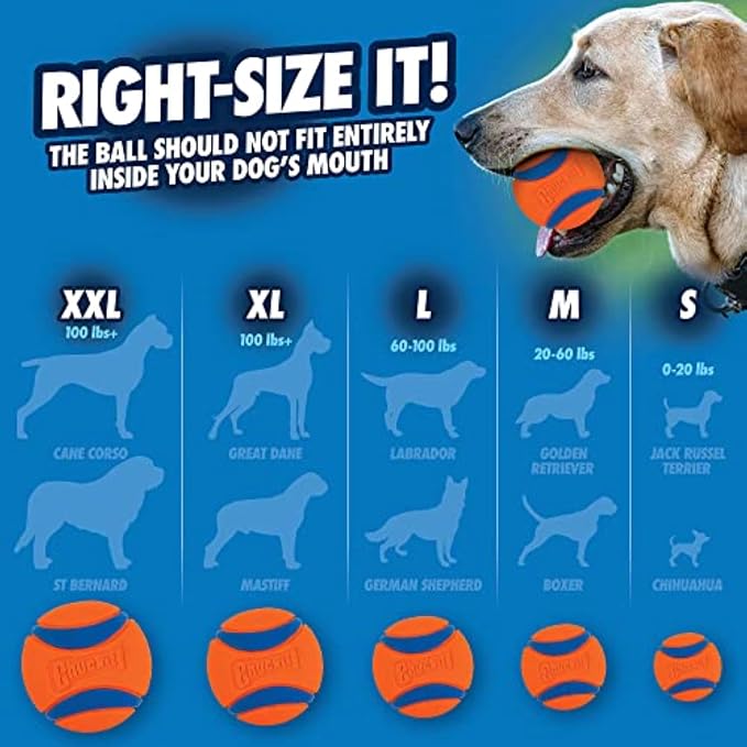 Chuckit! Ultra Ball Dog Toy with Cleaning Bucket, Medium 2.5-in, 8-Pack | Bouncy Fetch Balls Made of Durable Rubber for Dogs 20-60 lbs Pair with a Cleaning Bucket for Easy Storage and Play