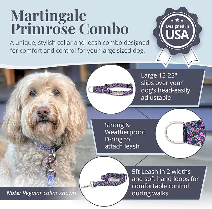 Lucky Love Dog Martingale Collar & Leash Set No Slip Cute – Primrose, Large