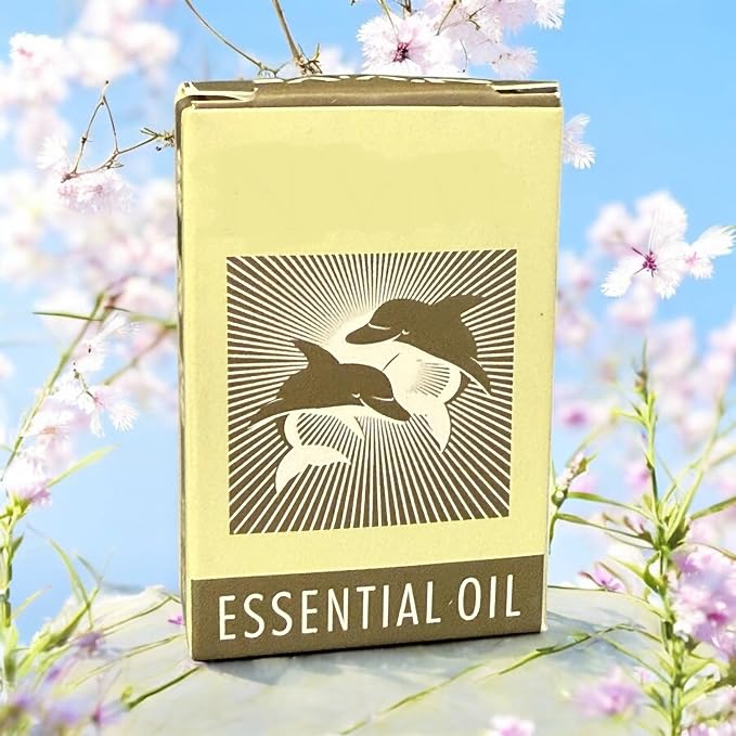 1 Pack - Song Ngu Essential Oil - Dau Nong Song Ngu - 10mL per Bottle - Made in USA