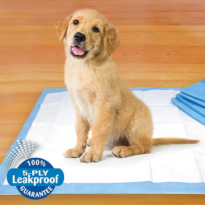 Four Paws Pet Select Pee Pee Pads for Dogs and Puppies 14 Count Standard 22" x 23" | Leak-proof, 12 hour floor protection, quilted potty training pads, 5 layers, 22" x 22"