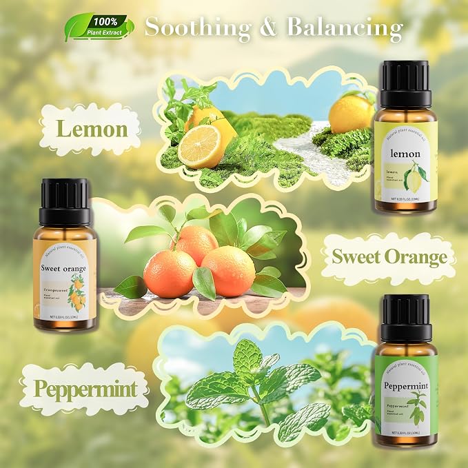 Fashome Essential Oil Blends 6-Pack for Diffuser, 10ml Each | Natural Fragrance Oils Vanilla, Jasmine, Rose, Sandalwood, Magnolia, Lavender for diffuser & candle making