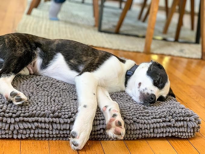 Dog Gone Smart Pet Products Dirty Dog Microfiber Cushion Pad - Grey