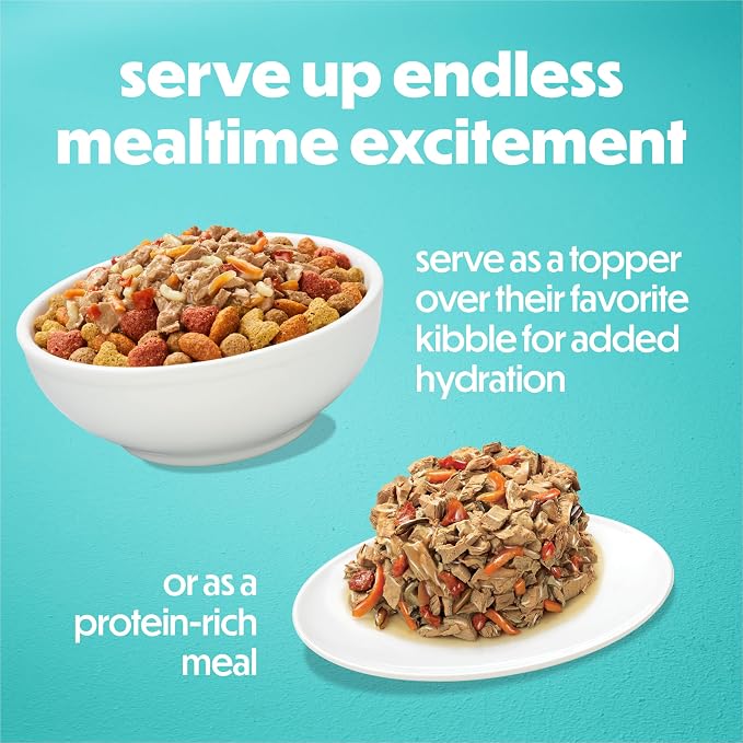 Beneful Purina Small Breed Wet Food Dog Gravy, IncrediBites with Real Salmon