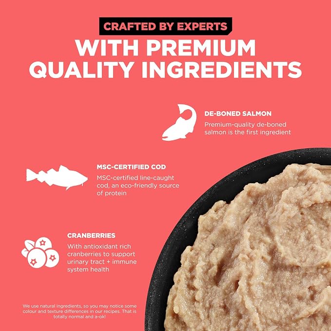 Go! Solutions Carnivore, Grain-Free, Protein Rich Wet Cat Food, Salmon and Cod Pâté, 6.4 oz (Pack of 6)