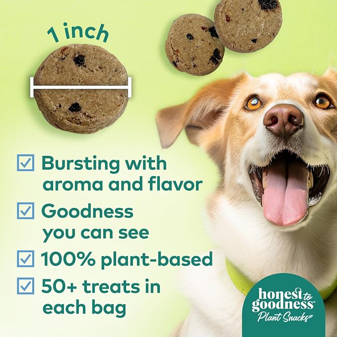 Honest to Goodness Plant Snacks Golden Years Senior Support Dog Treats, Blueberry & Carrot Recipe, 8oz | Crunchy, Plant-Based, Golden Years Senior Support, Enriched with Omega 3 Fatty Acids, Fortified with Postbiotics, USA Made
