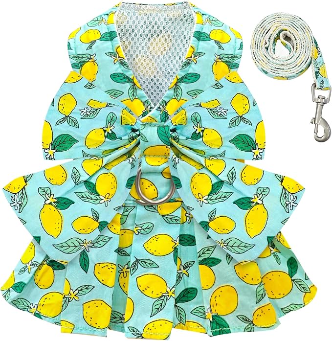 BAEJMJK Dog Dress Bowknot Harness Leash Set for Small Dogs Cats Girl Floral Princess Dog Dresses Cute Puppy Fruit Clothes Pet Doggy Outfits Spring Summer Breathable Dresses(Green,Small)