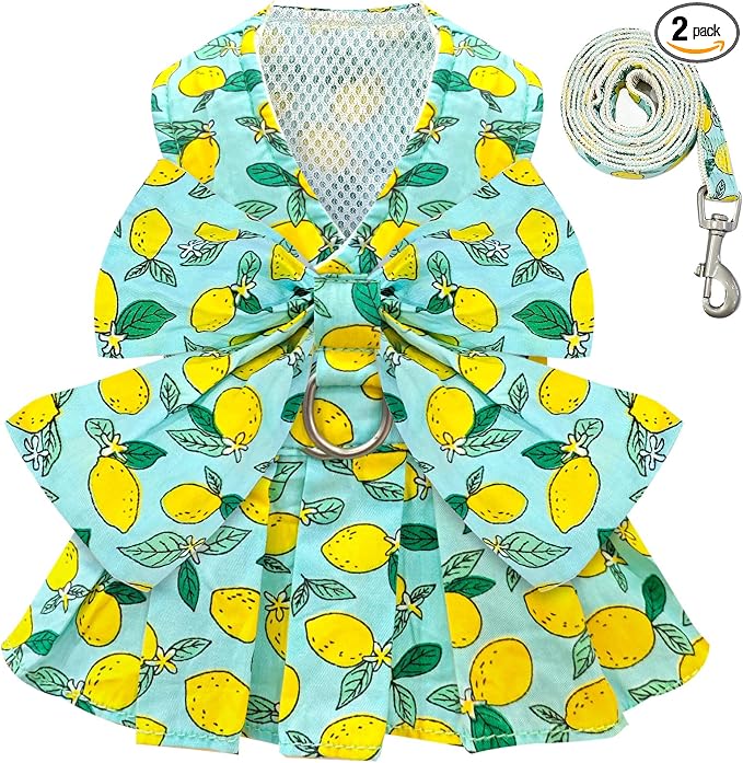BAEJMJK Dog Dress Bowknot Harness Leash Set for Small Dogs Cats Girl Floral Princess Dog Dresses Cute Puppy Fruit Clothes Pet Doggy Outfits Spring Summer Breathable Dresses(Green,Large)