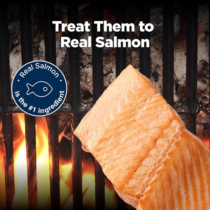 Blue Buffalo Nudges Grillers Salmon Dog Treats, 16 oz | Real Salmon First, Oven-Dried, Easy to Tear, For All Breed Sizes, No Artificial Preservatives