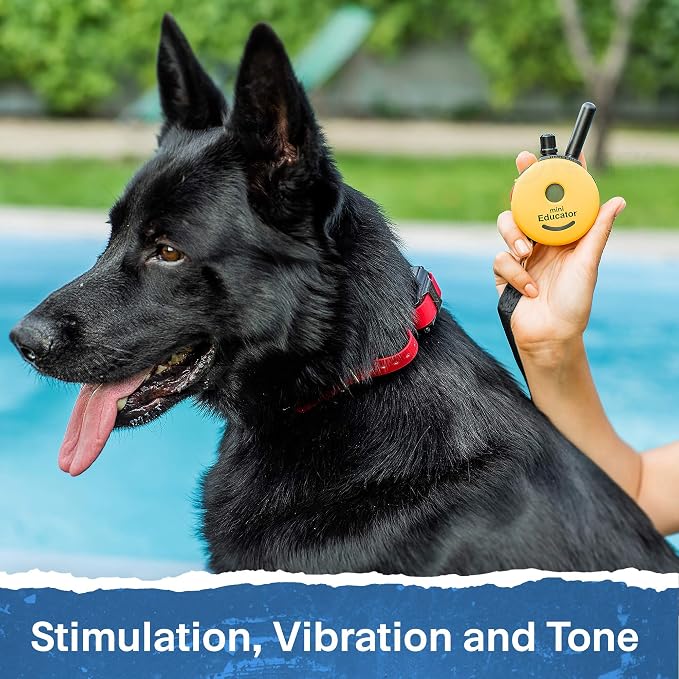 Educator ET-300 Mini E Collar for Dog Training with Remote - 1/2 Mile Range, Waterproof, 100 Blunt Stimulation Levels, Tone or Vibration Mode, Night Light Tracking for Small, Medium & Large Dogs