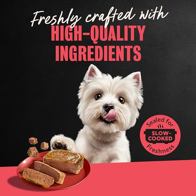 Cesar Classic Loaf in Sauce Wet Dog Food, Beef Recipe, 3.5 oz, 24 Count | Real beef #1 ingredient, Made in USA, Easy peel trays, no fillers/added sugar/artificial flavors, use as meal or topper