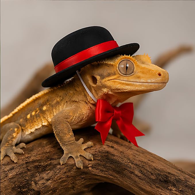 Bearded Dragon Pet Costume Clothes, Elegant 3-Piece Holiday Set | Felt hat and satin bowties with elastic nylon cords ensure secure, comfortable styling at weddings or birthday parties