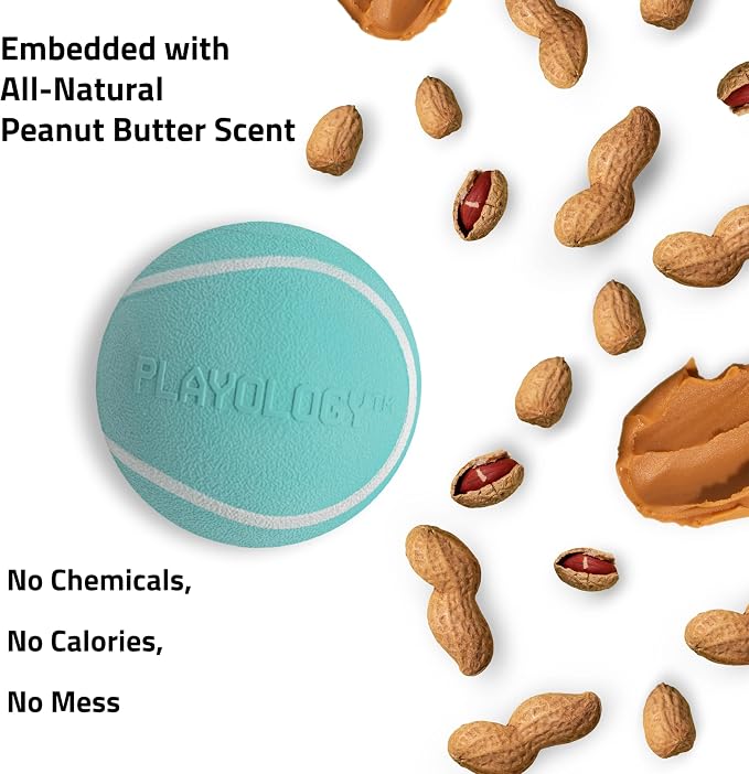 Playology Squeaky Chew Ball Dog Toy - Medium, Peanut Butter Scent, 2-Pack