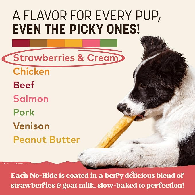 Earth Animal No Hide Dog Chews - Medium Rolls 3 Count Strawberries & Cream | Strawberries & Cream Flavored Natural Rawhide Free Long Lasting Dog Chews - Treats for Medium Dogs and Aggressive Chewers
