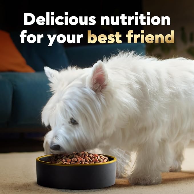 Cesar Small Breed Dry Dog Food, Chicken & Spring Vegetables Flavor, 2.7 lb | Made in USA, Real chicken #1 ingredient, 26 essential nutrients, supports small breed health, no artificial flavors