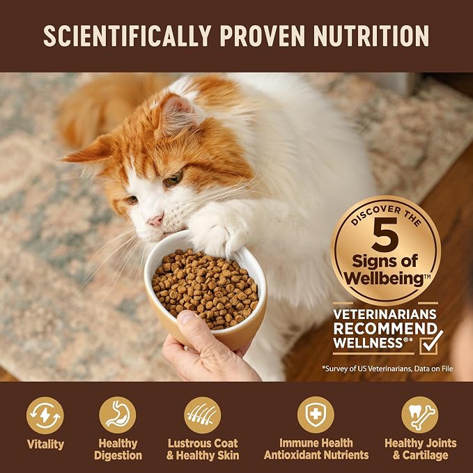 Wellness CORE Kitten Dry Cat Food, Natural, Grain Free Kibble, Turkey Meal and Chicken Recipe, 5 lb Bag