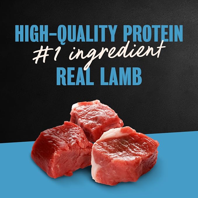 Cesar Classic Loaf in Sauce Wet Dog Food, Lamb Recipe, 3.5 oz, 24 Count | Made in USA, Real lamb #1 ingredient, no fillers, no added sugar, no artificial flavors, slow-cooked, easy peel trays