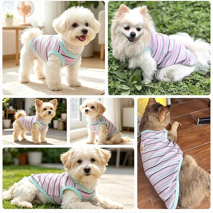 Small Dog Shirts Classic Striped Dogs Cats Clothes, Blue S | Soft Pet Tee Shirt, Breathable Dog Outfits with Exquisite Edging, Small Puppy Pajamas Chihuahua Yorki Party Daily Costumes