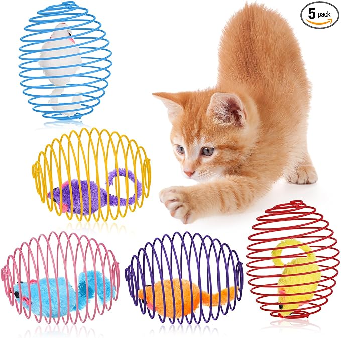 Jecery 5 Pcs Cat Toys Spring,Mouse,Multicolor