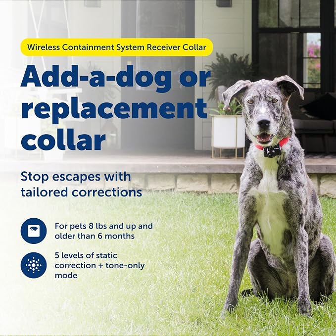 PetSafe Wireless Pet Containment System Collar | Collar Only, Replacement, Extra, Add-A-Dog to PetSafe Wireless Fence, Waterproof, Tone & Static, Pets 8 lb+, Neck 6-28 in
