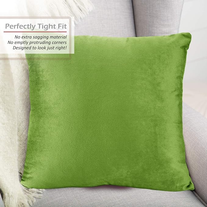 Throw Pillow Inserts Pack of 2 with Velvet Soft Solid Decorative Square Throw Pillow Covers Set for Sofa Couch Car Bedroom, 18X18 Throw Pillows Inserts with 16x16 Washable Cushion Covers, Garden Green