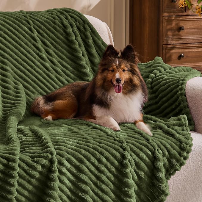 BEDELITE 3D Ribbed Jacquard Moss Fleece Throw Blanket for Couch, 50x60 Inch | Soft Warm Decorative Fluffy Blanket, Cozy Plush Lightweight Fuzzy Throw Blanket for Bed Sofa Home Room Decor, Gift for Women