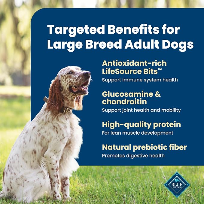 Blue Buffalo Life Protection Formula Chicken Large Adult Dog Food, 34 lb | Real Chicken #1 Ingredient, Antioxidant-Rich LifeSource Bits, Glucosamine Supports Joint Health & Mobility in Large Breeds
