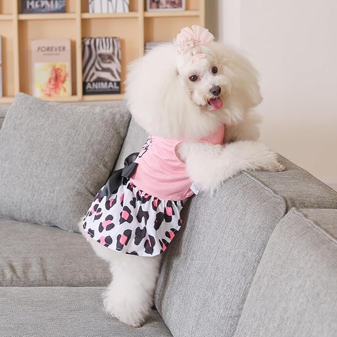 CuteBone Dog Mesh Dress Puppy Sundress Pet Outfit Summer Fashion for Small Dogs Girl Cat Clothes