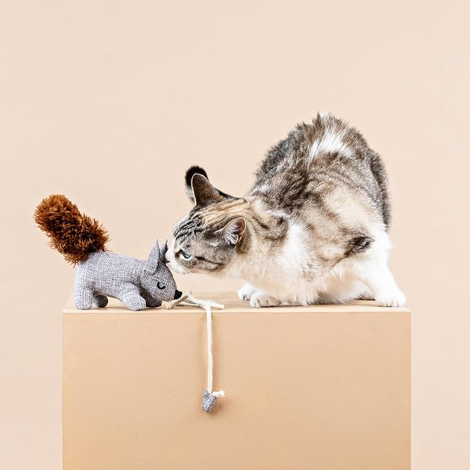 Fringe Studio ONE TUFF NUT Teaser Cat Toy, PetShop Collection (717001)