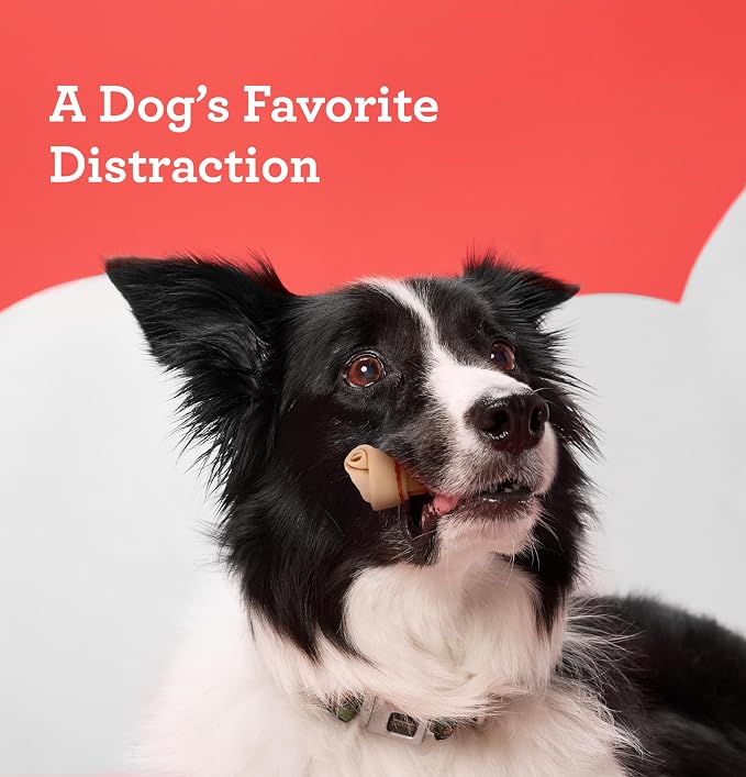 DreamBone DreamSticks with Real Chicken Chews for Dogs,These Easy-to-Digest Rawhide-Free Chews are a Dog’s Favorite Distraction,(Pack of 30)