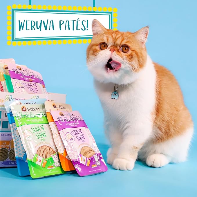 Weruva Wet Cat Food, The Slice is Right with Wild Caught Salmon Pate, 5.5oz Slide N Serve Pouch, Pack of 12