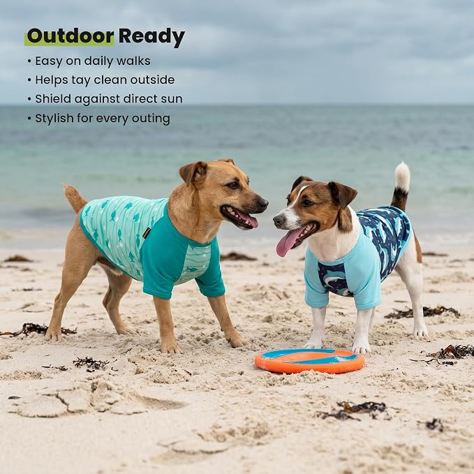 Fitwarm 2 Pack Dolphin & Fish Dog Shirt, Hawaiian Summer Clothes for Small Dogs Boy Girl, Lightweight Pet Outfit, Tea Blue, Green, Medium