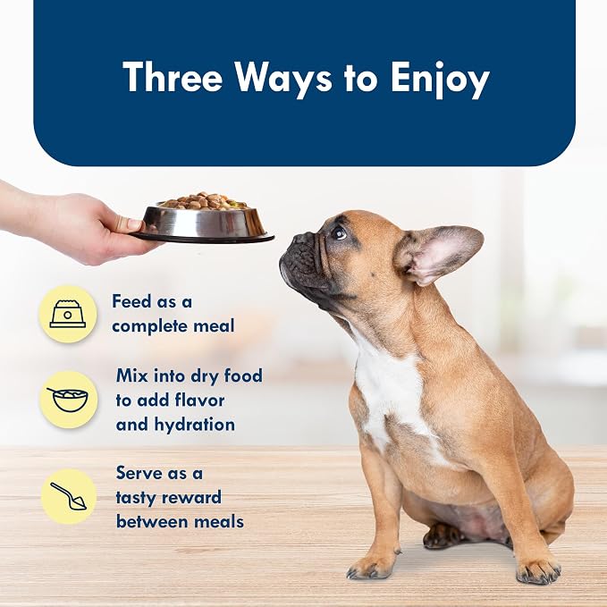 Blue Buffalo Delights Roasted Turkey Wet Dog Food, 3.5 oz, 12 ct | Small Breed Formula, Adult Formula, Grain-Free, Pate Style, Real Turkey First, in Savory Juice, No Corn, Wheat, or Soy
