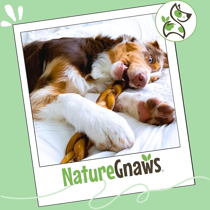 Nature Gnaws Braided Bully Sticks 11-12" for Large Dogs, 5 Count