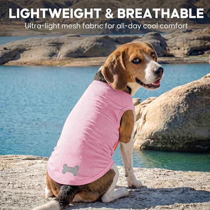 KYEESE 2Pack Dog Shirt, Lightweight Sun Protection Dog T Shirts for Small Dogs Girl, Breathable Mesh Tank Top Sleeveless Pet Reflective Vest, Soft Summer Dogs Clothes, Lemon+Pink, M