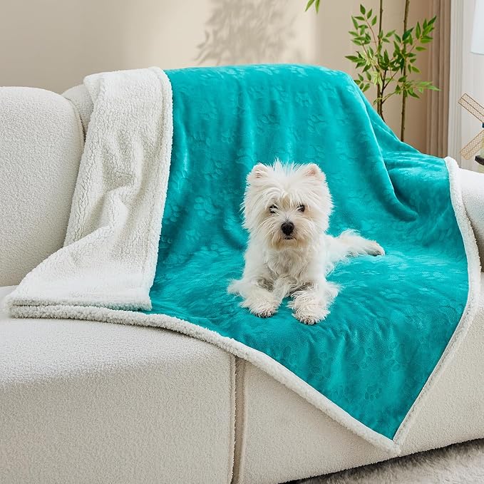 Pet Blankets for Cats - Waterproof Cat Blanket Washable - Sherpa Fleece Puppy Blanket, Soft Plush Reversible Throw Protector for Bed Couch Car Sofa, 30"X40", Teal