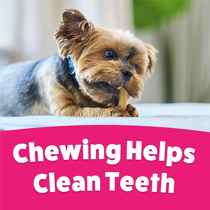 Purina Busy Bone Tiny Toy Breed Dog Chew Treats, Original, 60 ct Pouch | Rawhide free chew with a real meat center for small dogs up to 20 lbs, long lasting chew that helps clean teeth