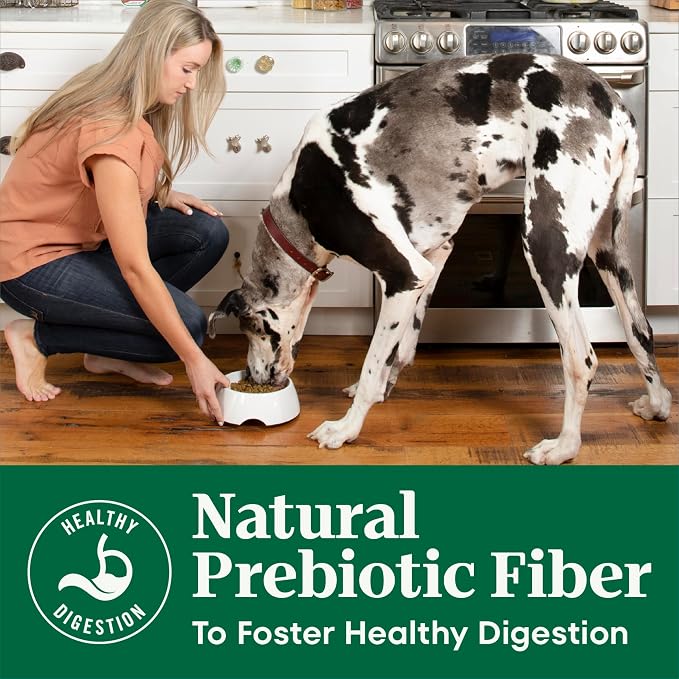 Nutro Natural Choice Large Breed Adult Dry Dog Food, Lamb & Rice, 36 lb | Real lamb #1 ingredient, non-GMO, no corn, wheat, soy, crafted in USA, supports joints, digestion, immunity, skin & coat